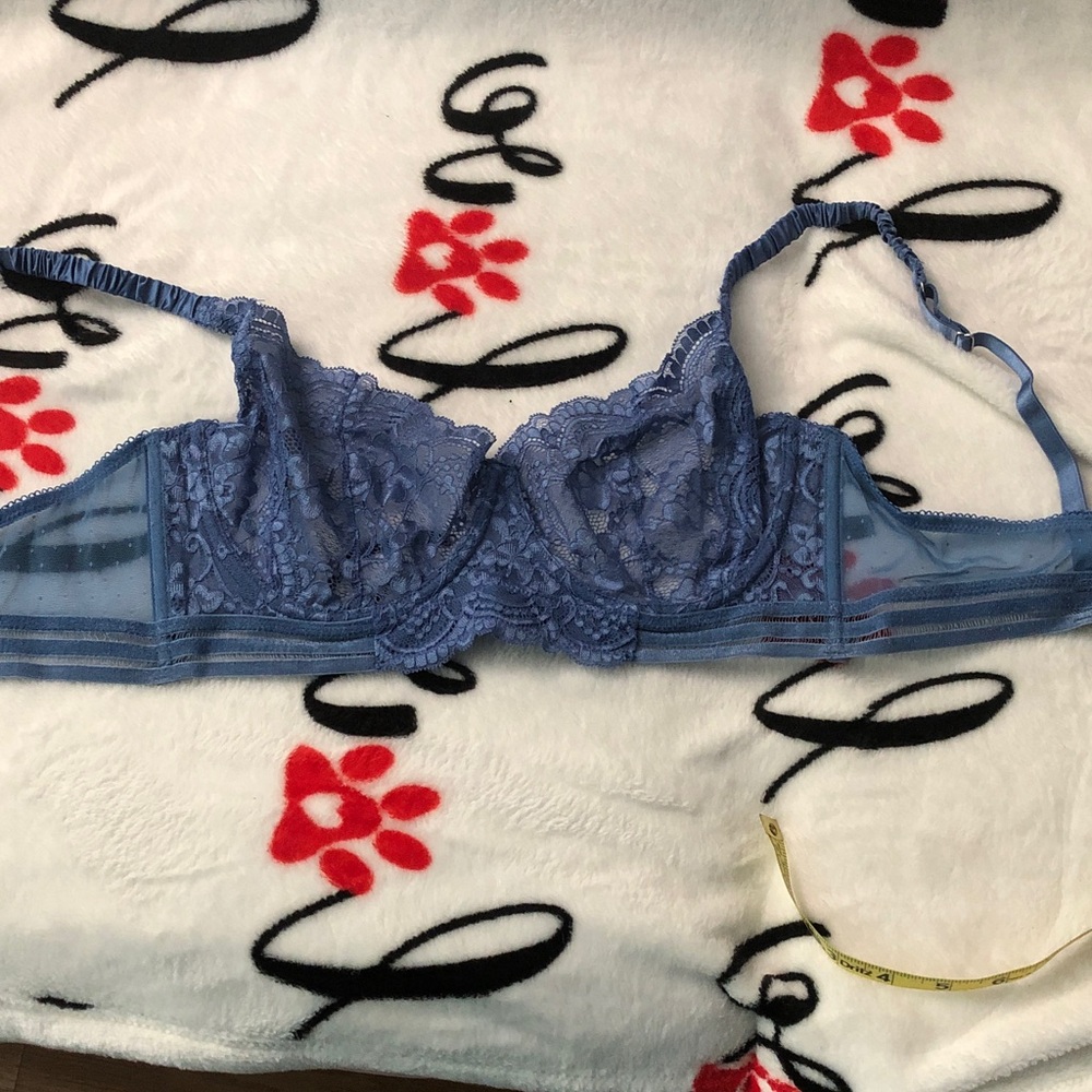 Elegant Blue Lace Bra